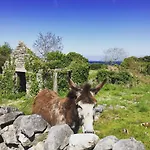 Tatil Evi Oranuisce Thatch