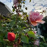 Tatil Evi Oranuisce Thatch Ballyvaughan