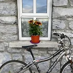 Oranuisce Thatch *