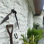 Oranuisce Thatch *