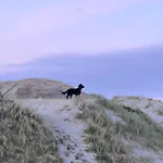 Oranuisce Thatch Ballyvaughan