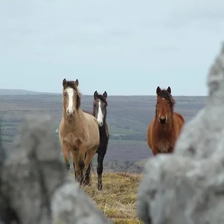 Semesterbostad Oranuisce Thatch