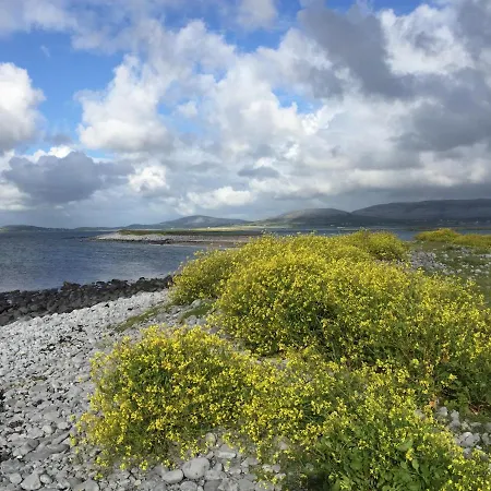 別荘 Oranuisce Thatch