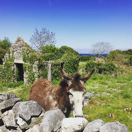 Semesterbostad Oranuisce Thatch