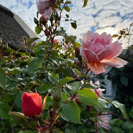 Semesterbostad Oranuisce Thatch Ballyvaughan