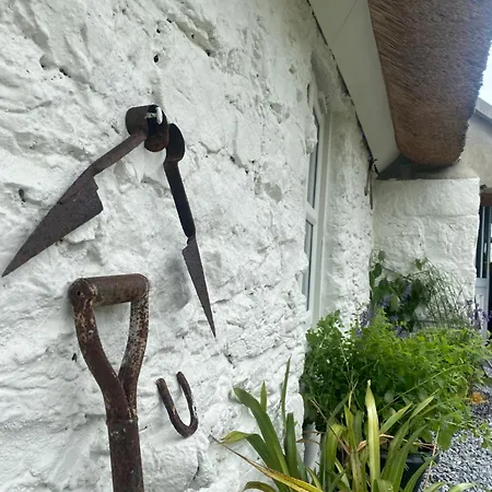 Oranuisce Thatch *