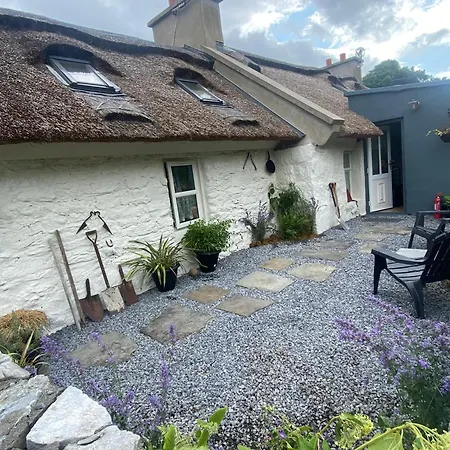 Oranuisce Thatch *