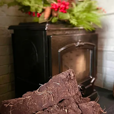 別荘 Oranuisce Thatch *