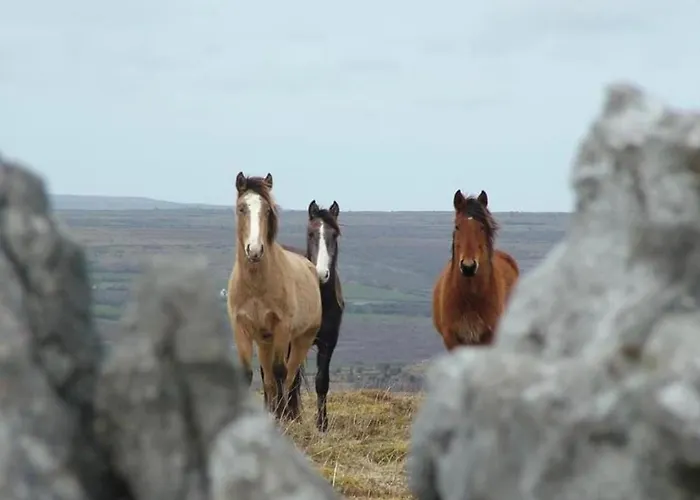 Casa vacanze Oranuisce Thatch