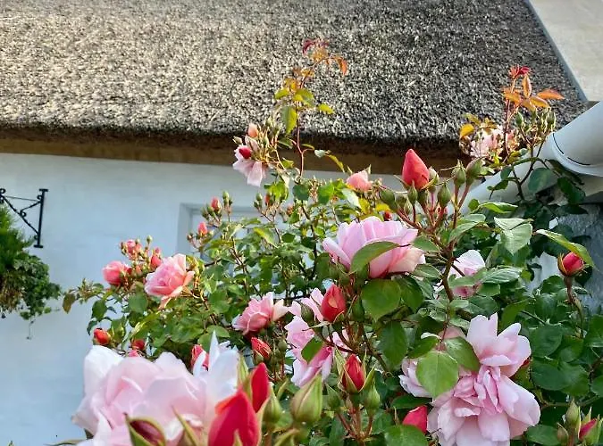 Oranuisce Thatch * Ballyvaughan