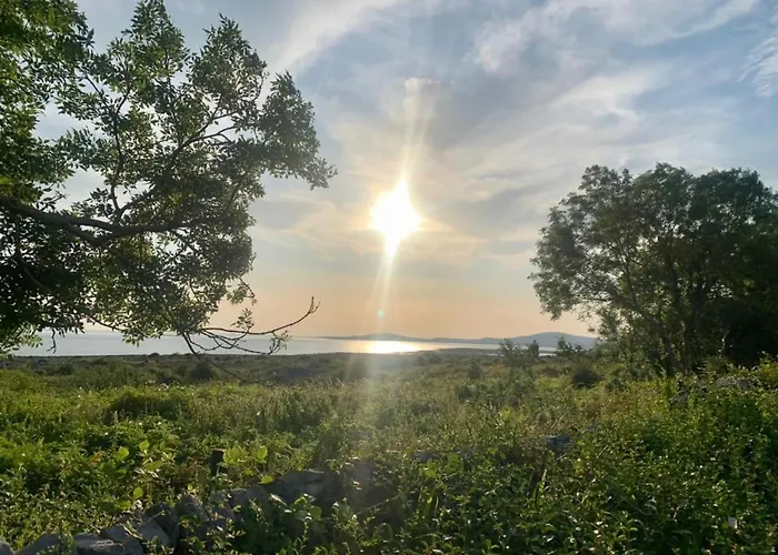 Oranuisce Thatch באליווהן