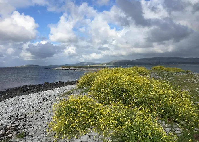 בית נופש Oranuisce Thatch