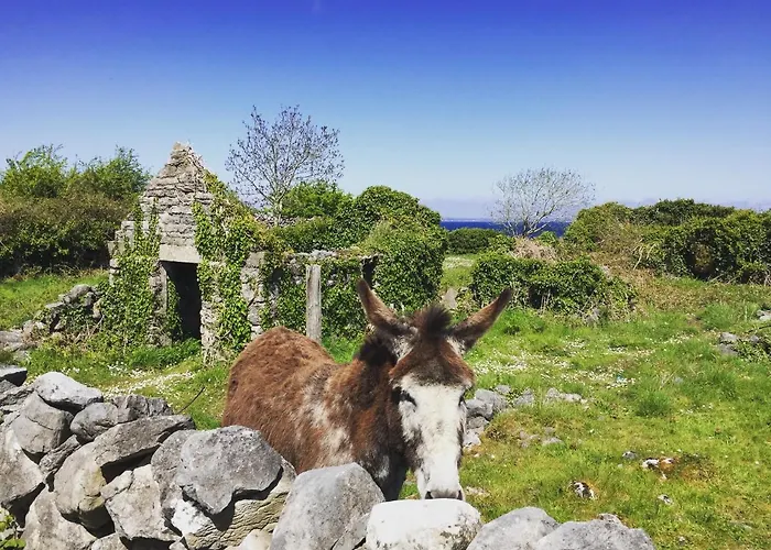 בית נופש Oranuisce Thatch