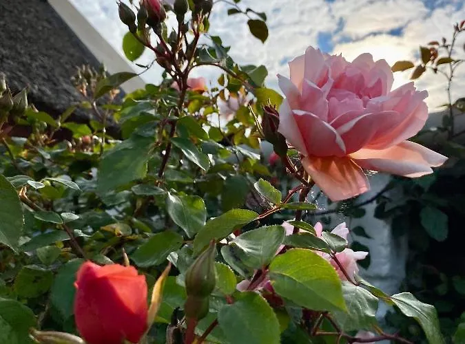 Tatil Evi Oranuisce Thatch Ballyvaughan