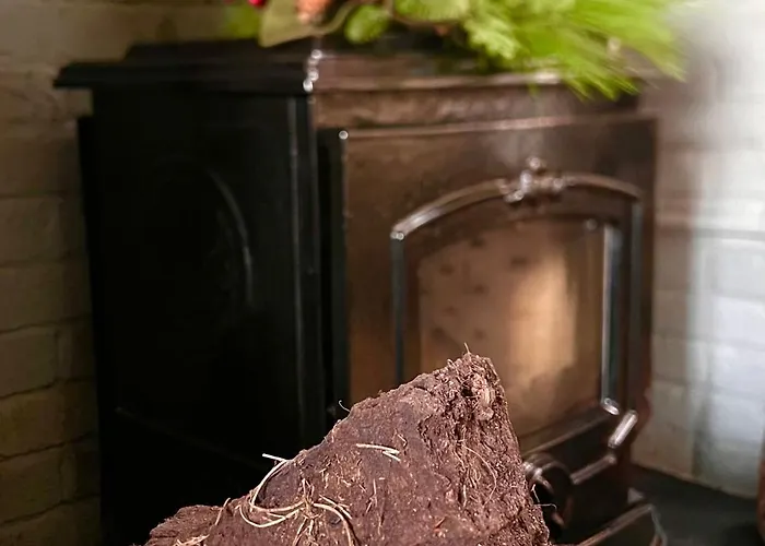 Vakantiehuis Oranuisce Thatch *